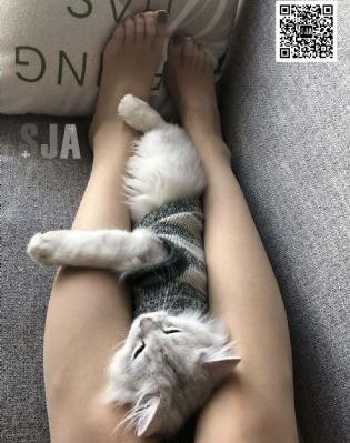美女人体图7160欧美_BD国语免费电视剧